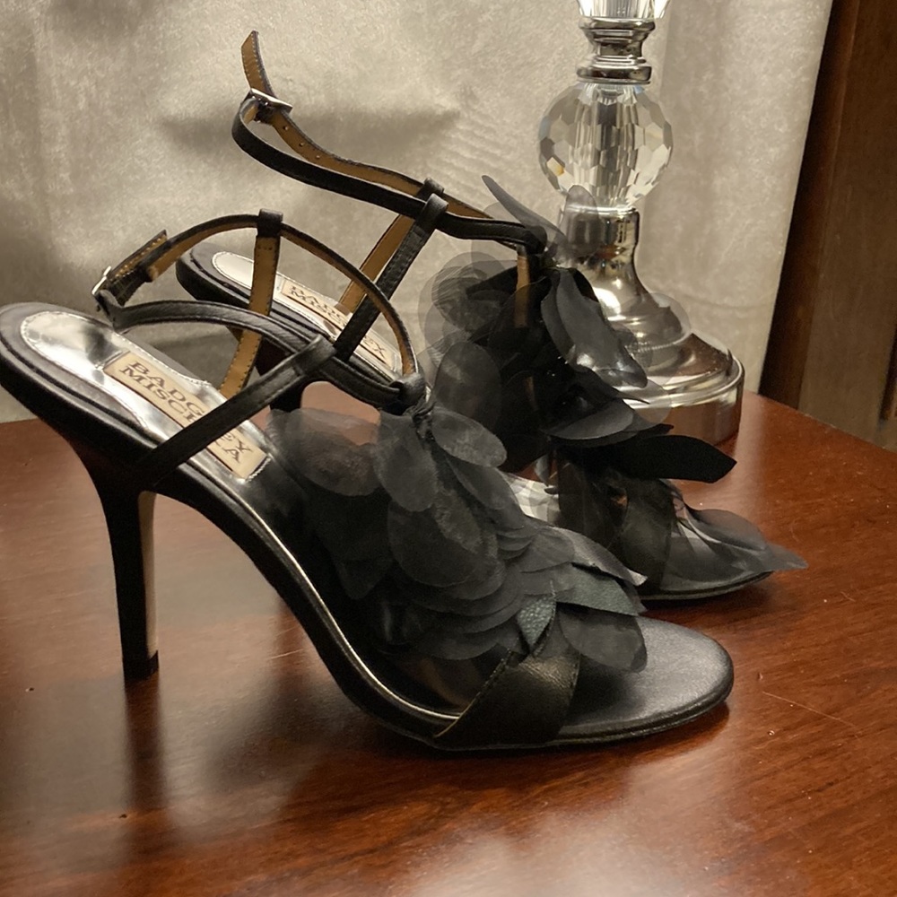 Badgley Mischka black high heel shoes. Called Dreamy. Size 6.5.  Never worn